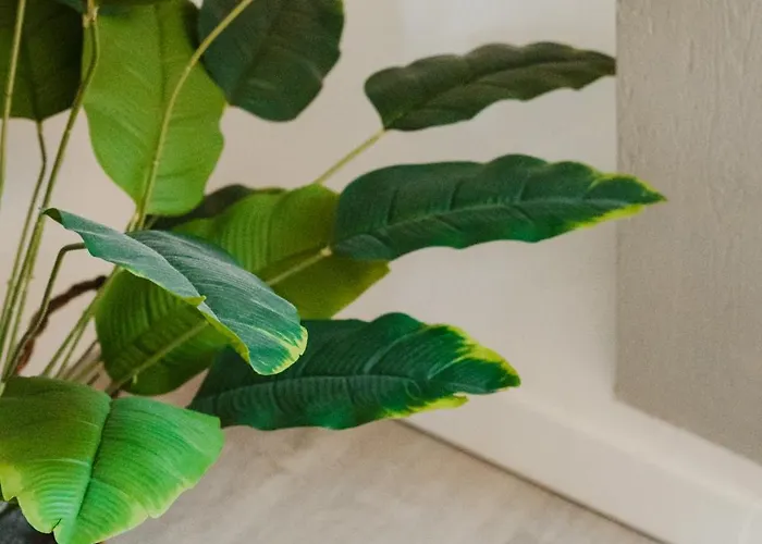 Le Temps Retrouve בית נופש