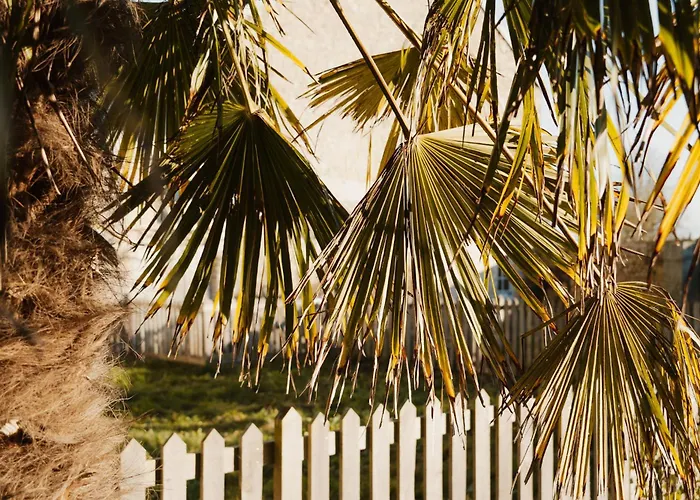 Le Temps Retrouve * Grandcamp-Maisy